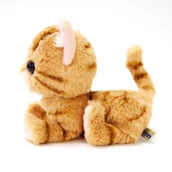 Kitten Plush: American Shorthair -Toy Model Shop 18326002bd00464d85bb5ca2693bdfaa.jpg