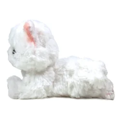 Kitten Plush: Persian 25 Kitten Plush: Persian -Toy Model Shop 5fdd122561554b018df20757dc0c5a40.jpg