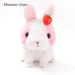 Kyun To Naki Usagi Noichigo Pika Plush Collection (Standard) -Toy Model Shop 6f9d9c8c5b5248b89635651d20c698eb.jpg