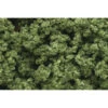 Woodland Scenics Clump-Foliage Bag, Light Green/165 Cu. In. -Toy Model Shop WOOFC182 A0 B0V9A3GV