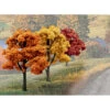 Woodland Scenics Value Trees, Fall Mix 3-5" (14) 1 Woodland Scenics Value Trees, Fall Mix 3-5" (14) -Toy Model Shop WOOTR1577 A0 OD46GQRL
