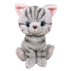 Kitten Plush: American Shorthair